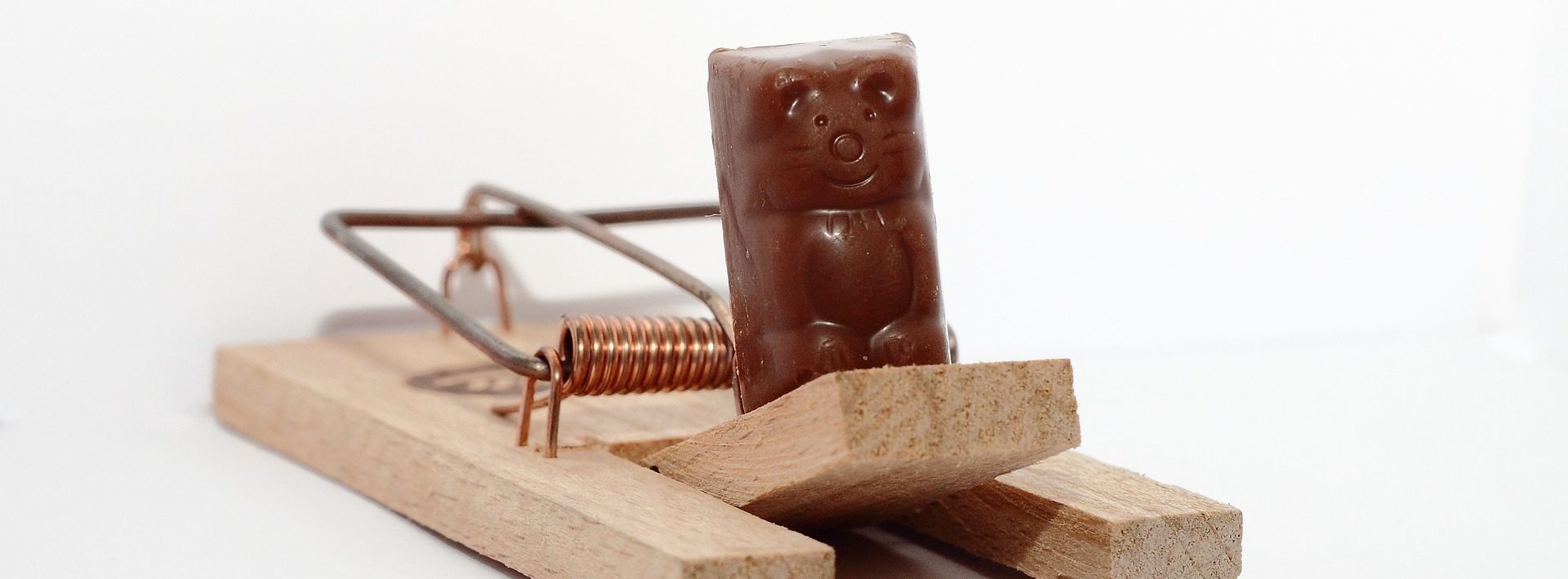 マルチ商法家族被害：どうすればいいか？